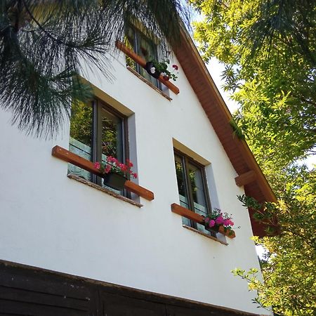 Villa Pele Vendeghaz à Velem Extérieur photo