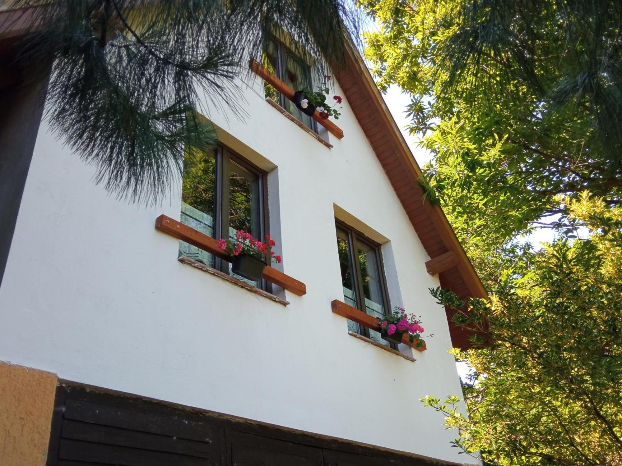 Villa Pele Vendeghaz à Velem Extérieur photo